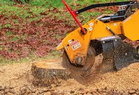 Best Grass Overseeding  in Glespie, IL